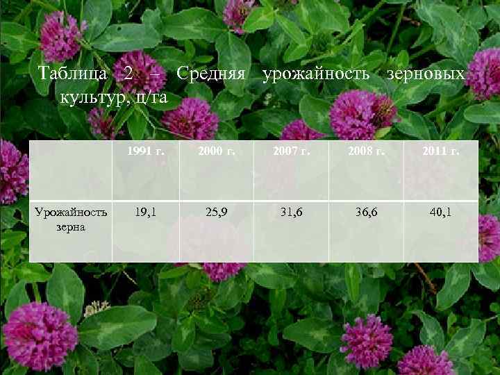 Таблица 2 – Средняя урожайность зерновых культур, ц/га 1991 г. Урожайность зерна 2000 г.