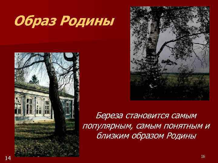 Образ Родины Береза становится самым популярным, самым понятным и близким образом Родины 14 16