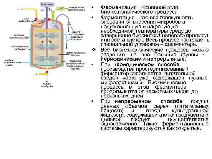  • Ферментация – основной этап биотехнологического процесса • Ферментация – это вся совокупность