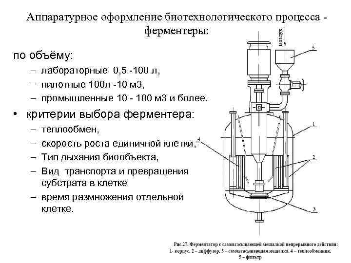 Аппаратурное оформление биотехнологического процесса - ферментеры: по объёму: – лабораторные 0, 5 -100 л,
