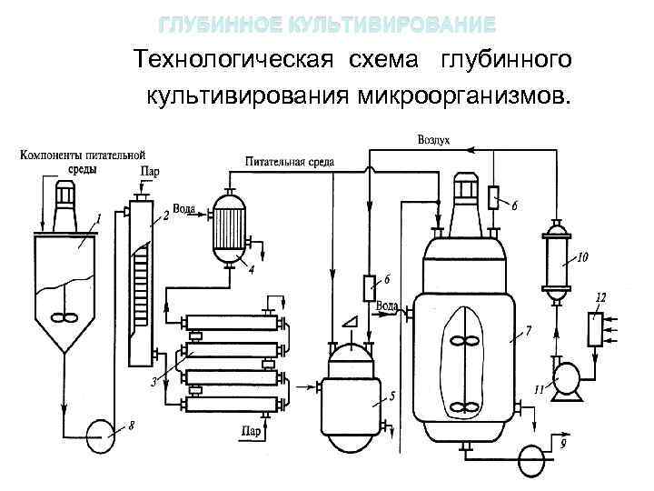 ГЛУБИННОЕ КУЛЬТИВИРОВАНИЕ Технологическая схема глубинного культивирования микроорганизмов. . 