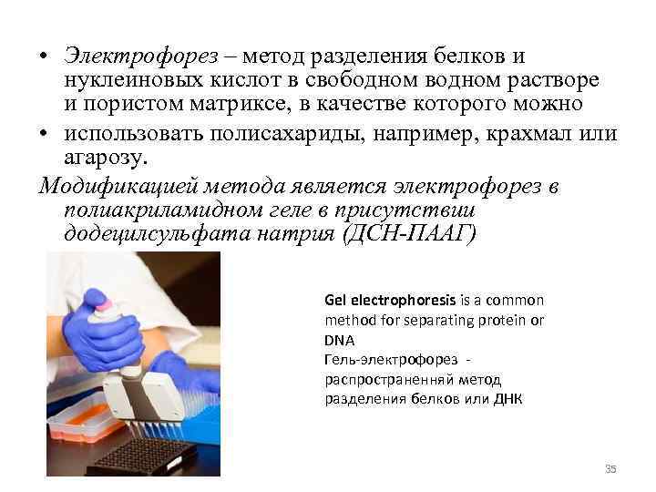  • Электрофорез – метод разделения белков и нуклеиновых кислот в свободном водном растворе