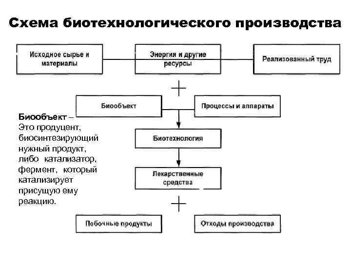 Схема биотехнологического производства Биообъект – Биообъект Это продуцент, биосинтезирующий нужный продукт, либо катализатор, фермент,