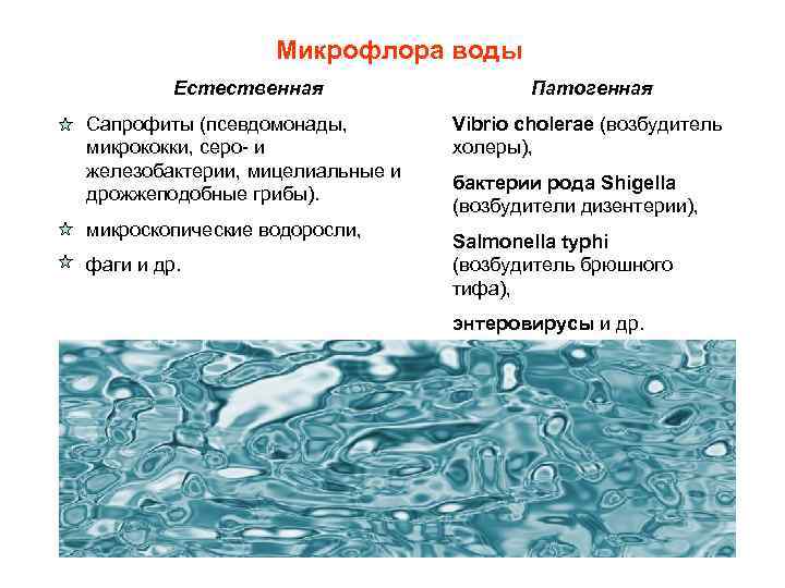 Вода фактор передачи. 2. Микрофлора воды. Микрофлора воды микробиология. Патогенные микроорганизмы микробиология в воде. Патогенная микрофлора воды.