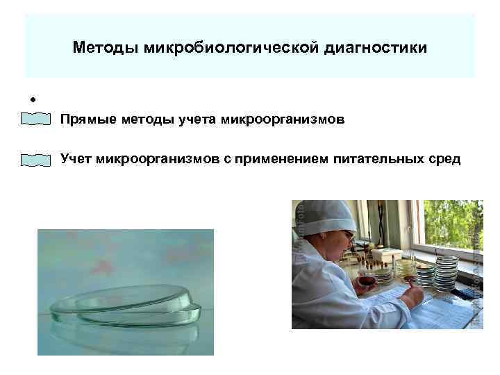 Методы микробиологической диагностики Прямые методы учета микроорганизмов Учет микроорганизмов с применением питательных сред 