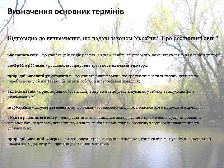 Визначення основних термінів Відповідно до визнеачення, що надані законом України 