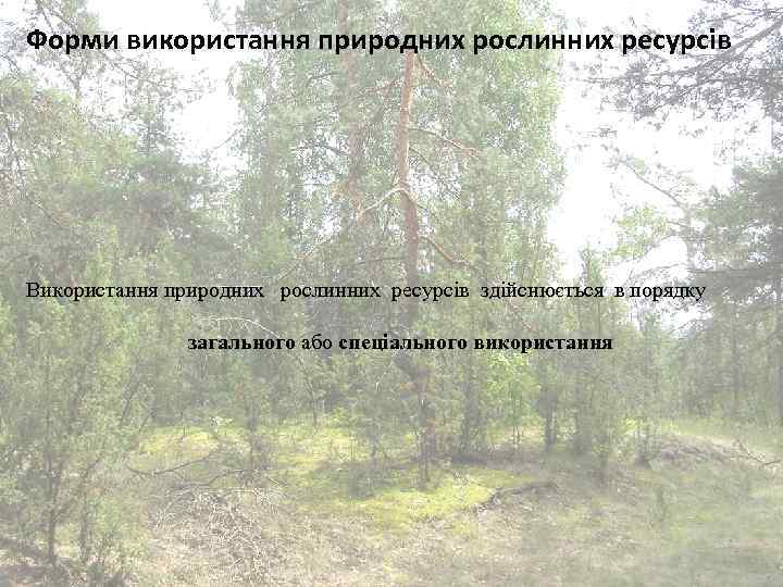 Форми використання природних рослинних ресурсів Використання природних рослинних ресурсів здійснюється в порядку загального або
