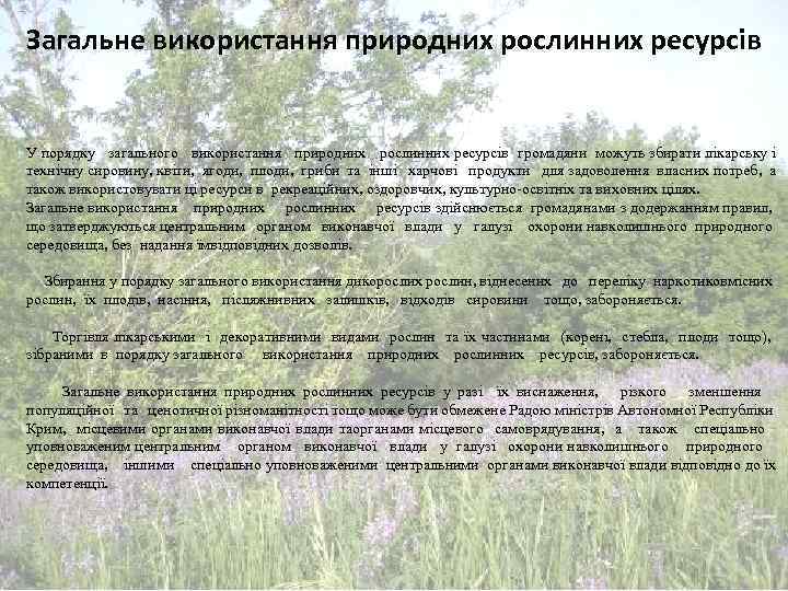 Загальне використання природних рослинних ресурсів У порядку загального використання природних рослинних ресурсів громадяни можуть