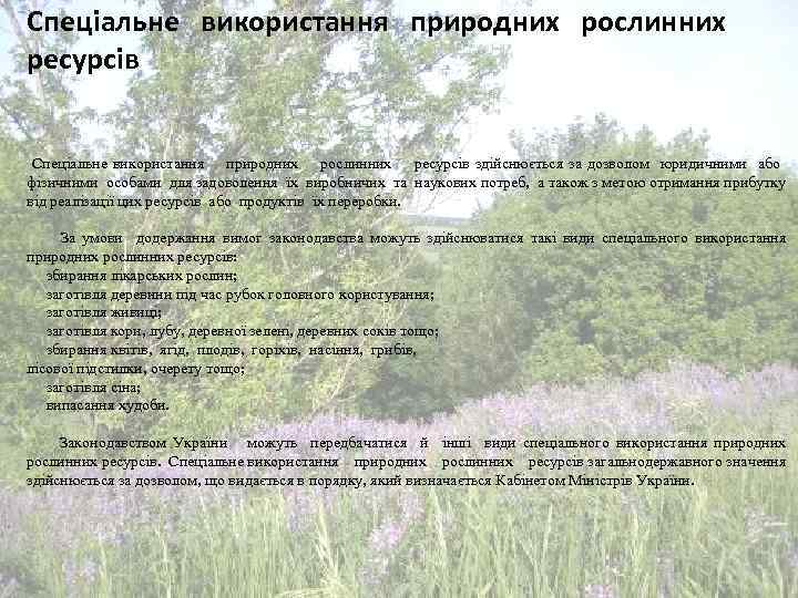 Спеціальне використання природних рослинних ресурсів здійснюється за дозволом юридичними або фізичними особами для задоволення