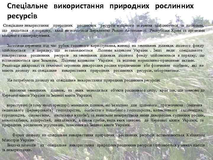 Спеціальне використання природних рослинних ресурсів місцевого значення здійснюється за дозволом, що видається в порядку,