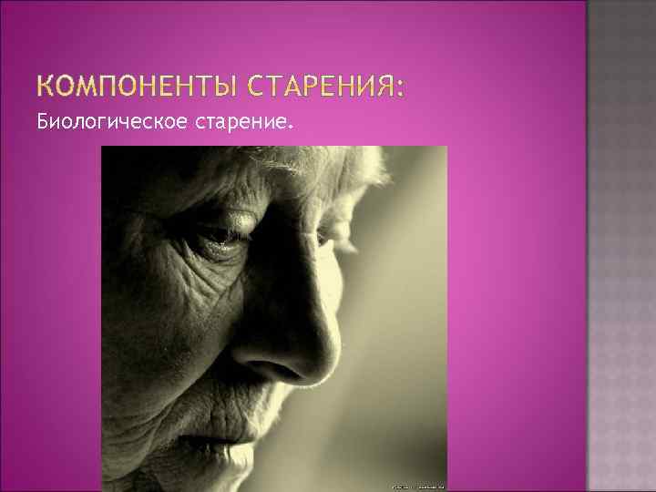 Биологическое старение. 