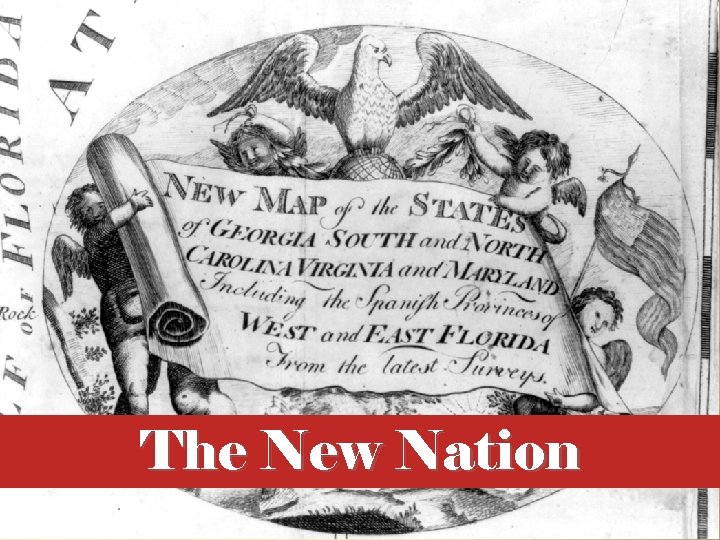 The New Nation 