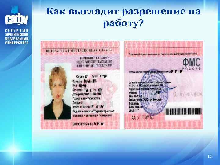 Как выглядит разрешение на работу? 11 