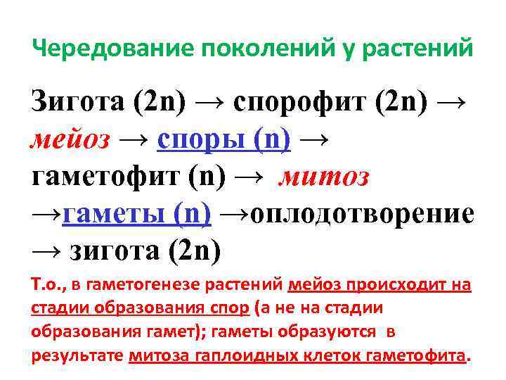 Поколения растений. Чередование поколений у растений. Чередование поколений у высших растений таблица. Чередование поколений наблюдается у растений. Смена поколений у растений.