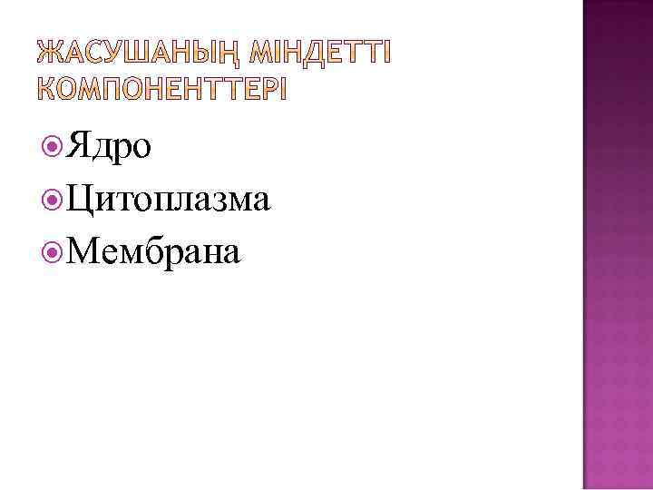  Ядро Цитоплазма Мембрана 