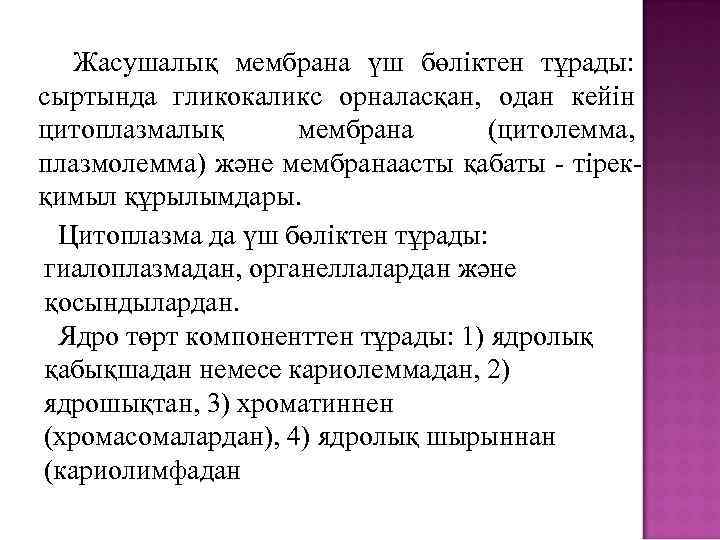 Жасушалық мембрана үш бөліктен тұрады: сыртында гликокаликс орналасқан, одан кейін цитоплазмалық мембрана (цитолемма, плазмолемма)