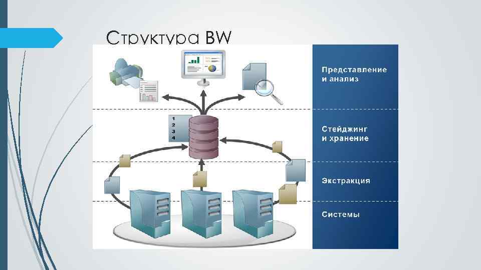 Структура BW 