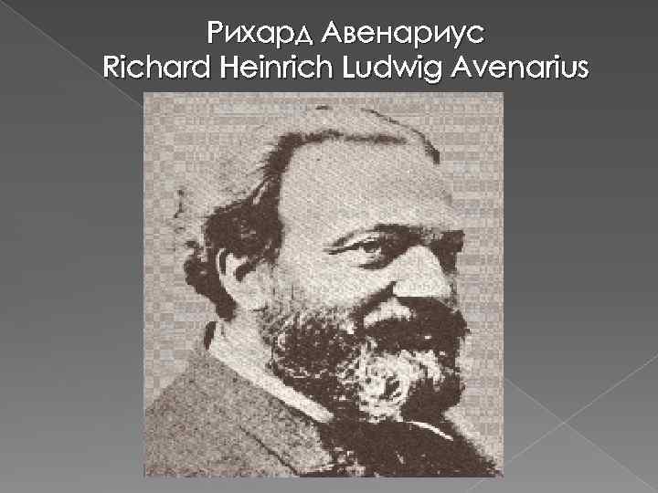 Рихард Авенариус Richard Heinrich Ludwig Avenarius 