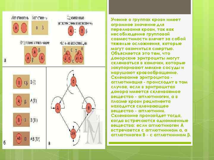 Учение о группах крови имеет огромное значение для переливания крови, так как несоблюдение групповой