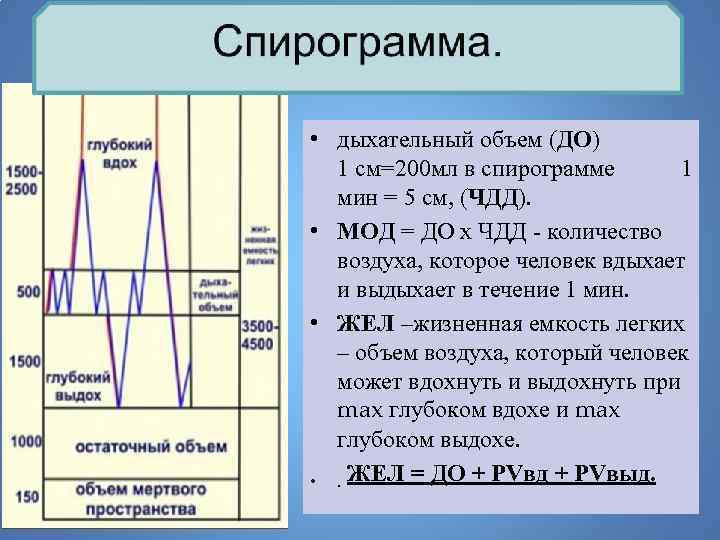 Объем вдоха выдоха. Показатели внешнего дыхания спирограмма. Спирограмма легких физиология. Дыхательный объем на спирограмме. Спирография объемы.