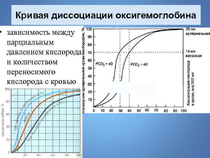 Диссоциация оксигемоглобина