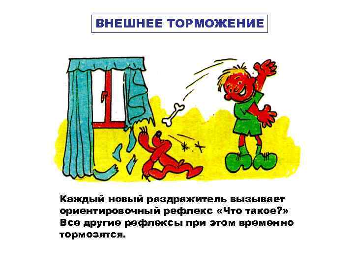 ВНЕШНЕЕ ТОРМОЖЕНИЕ ? Каждый новый раздражитель вызывает ориентировочный рефлекс «Что такое? » Все другие
