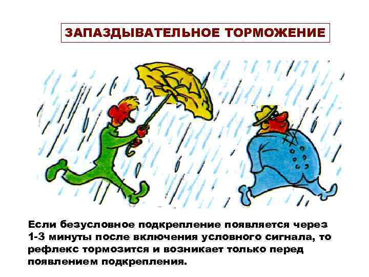 ЗАПАЗДЫВАТЕЛЬНОЕ ТОРМОЖЕНИЕ Если безусловное подкрепление появляется через 1 -3 минуты после включения условного сигнала,