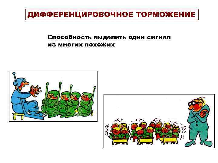 ДИФФЕРЕНЦИРОВОЧНОЕ ТОРМОЖЕНИЕ Способность выделить один сигнал из многих похожих 