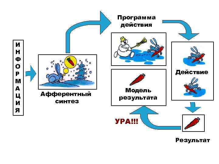 Программа действия И Н Ф О Р М А Ц И Я Действие Афферентный