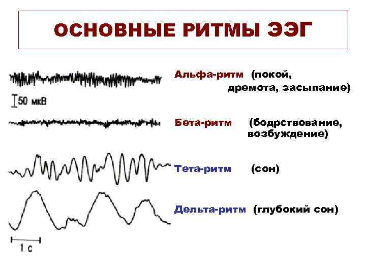 ОСНОВНЫЕ РИТМЫ ЭЭГ Альфа-ритм (покой, дремота, засыпание) Бета-ритм Тета-ритм (бодрствование, возбуждение) (сон) Дельта-ритм (глубокий