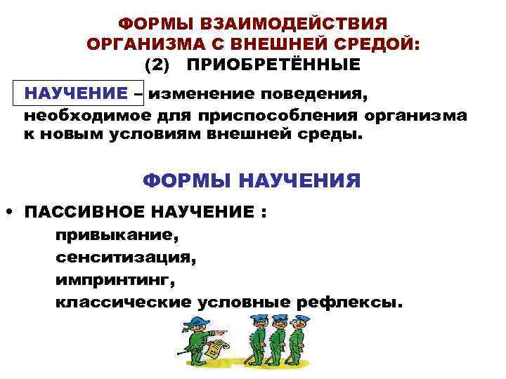 ФОРМЫ ВЗАИМОДЕЙСТВИЯ ОРГАНИЗМА С ВНЕШНЕЙ СРЕДОЙ: (2) ПРИОБРЕТЁННЫЕ НАУЧЕНИЕ – изменение поведения, необходимое для