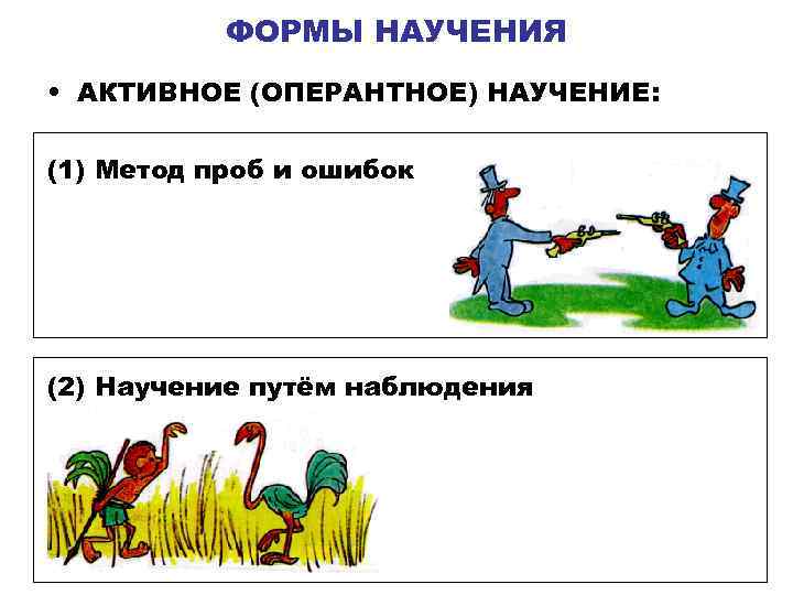 ФОРМЫ НАУЧЕНИЯ • АКТИВНОЕ (ОПЕРАНТНОЕ) НАУЧЕНИЕ: (1) Метод проб и ошибок (2) Научение путём