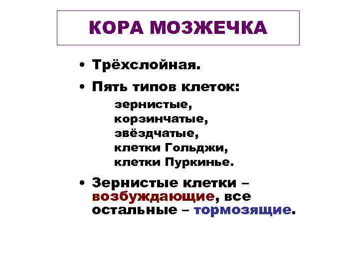 КОРА МОЗЖЕЧКА • Трёхслойная. • Пять типов клеток: зернистые, корзинчатые, звёздчатые, клетки Гольджи, клетки