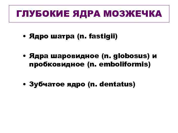 ГЛУБОКИЕ ЯДРА МОЗЖЕЧКА • Ядро шатра (n. fastigii) • Ядра шаровидное (n. globosus) и