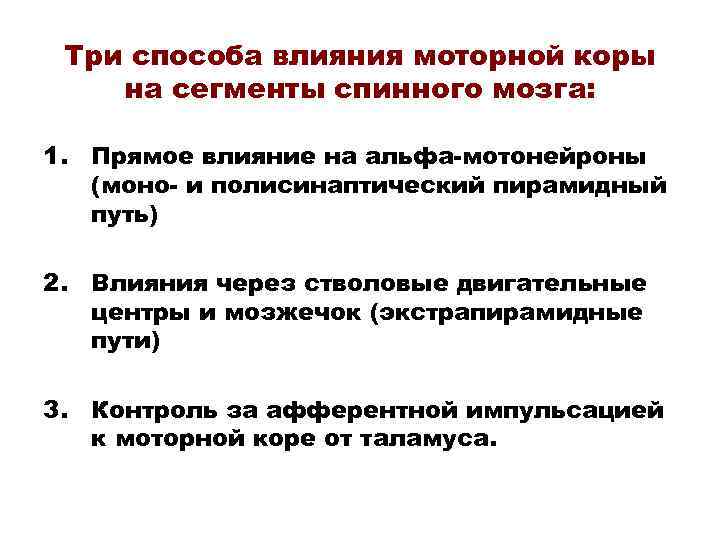 Три способа влияния моторной коры на сегменты спинного мозга: 1. Прямое влияние на альфа-мотонейроны