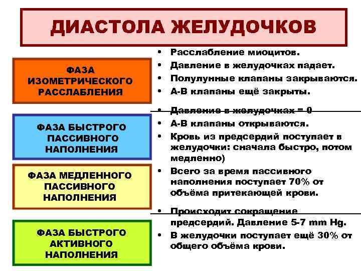 ДИАСТОЛА ЖЕЛУДОЧКОВ ФАЗА ИЗОМЕТРИЧЕСКОГО РАССЛАБЛЕНИЯ ФАЗА БЫСТРОГО ПАССИВНОГО НАПОЛНЕНИЯ ФАЗА МЕДЛЕННОГО ПАССИВНОГО НАПОЛНЕНИЯ ФАЗА