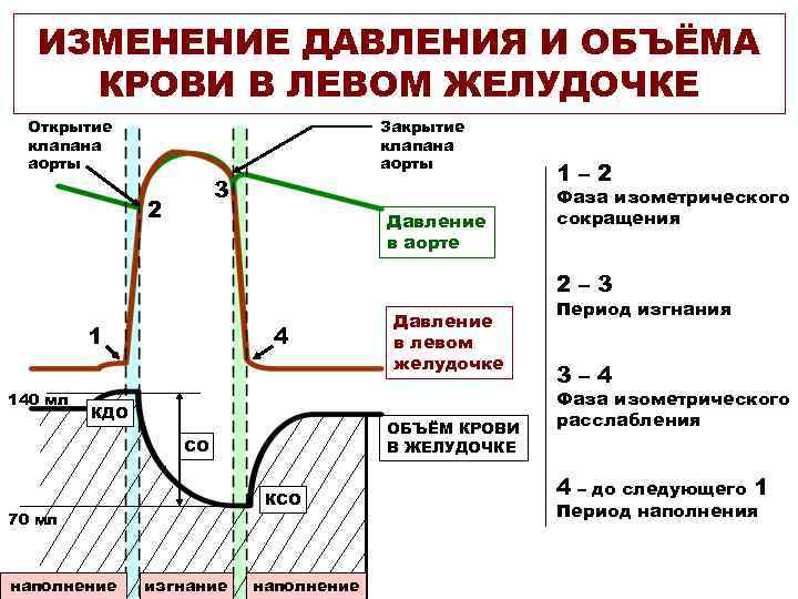 ИЗМЕНЕНИЕ ДАВЛЕНИЯ И ОБЪЁМА КРОВИ В ЛЕВОМ ЖЕЛУДОЧКЕ Открытие клапана аорты Закрытие клапана аорты