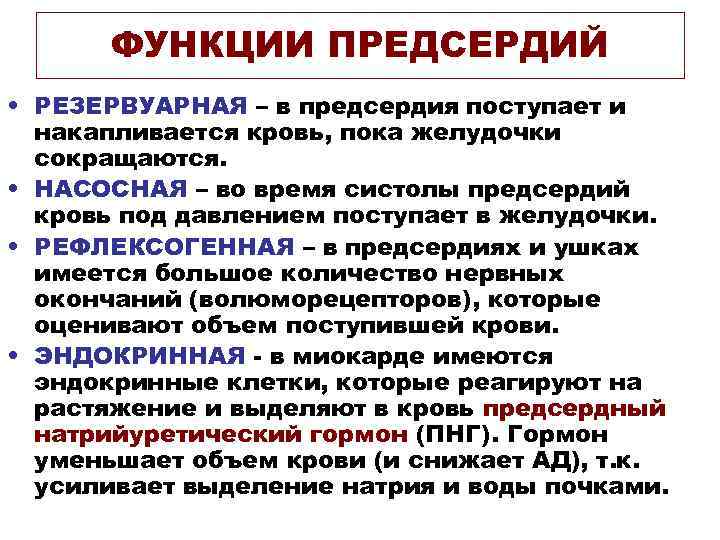 ФУНКЦИИ ПРЕДСЕРДИЙ • РЕЗЕРВУАРНАЯ – в предсердия поступает и накапливается кровь, пока желудочки сокращаются.