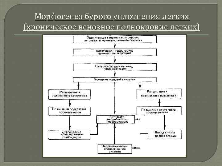 Нарушения кровенаполнения блок схема