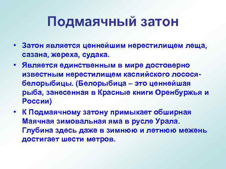 Подмаячный затон • Затон является ценнейшим нерестилищем леща, сазана, жереха, судака. • Является единственным