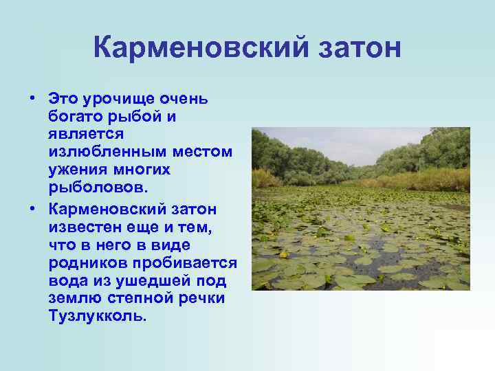 Карменовский затон • Это урочище очень богато рыбой и является излюбленным местом ужения многих