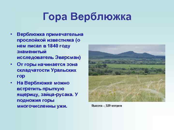 Гора Верблюжка • Верблюжка примечательна прослойкой известняка (о нем писал в 1840 году знаменитый
