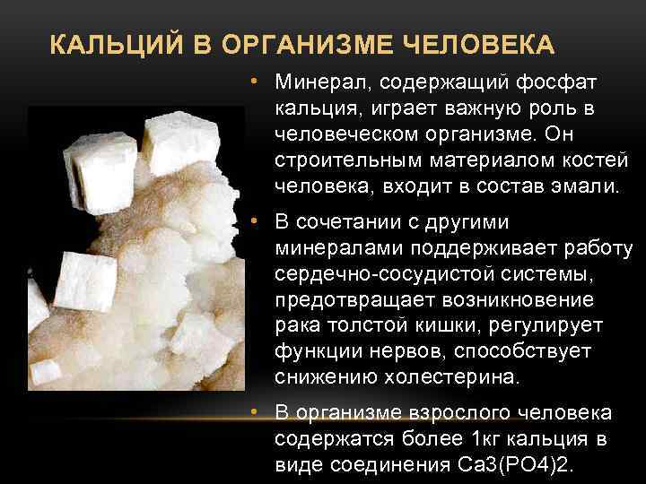 КАЛЬЦИЙ В ОРГАНИЗМЕ ЧЕЛОВЕКА • • Минерал, содержащий фосфат кальция, играет важную роль в