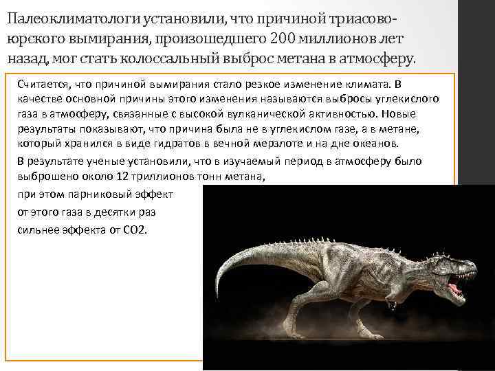 Палеоклиматологи установили, что причиной триасовоюрского вымирания, произошедшего 200 миллионов лет назад, мог стать колоссальный