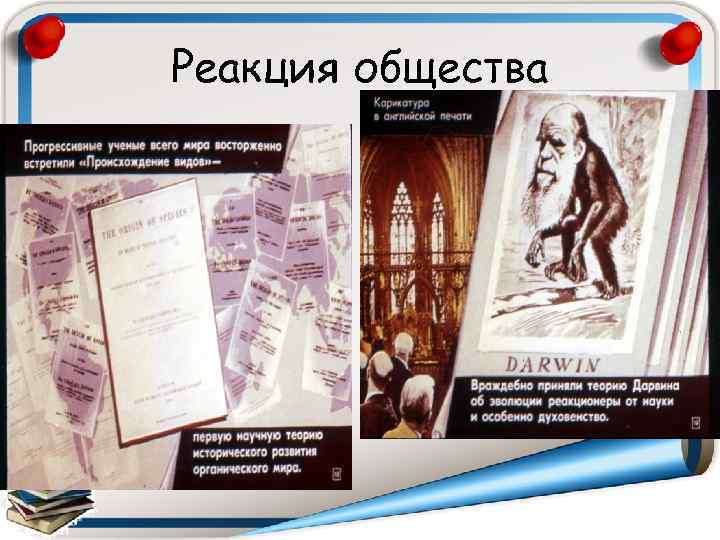 Реакция общества 