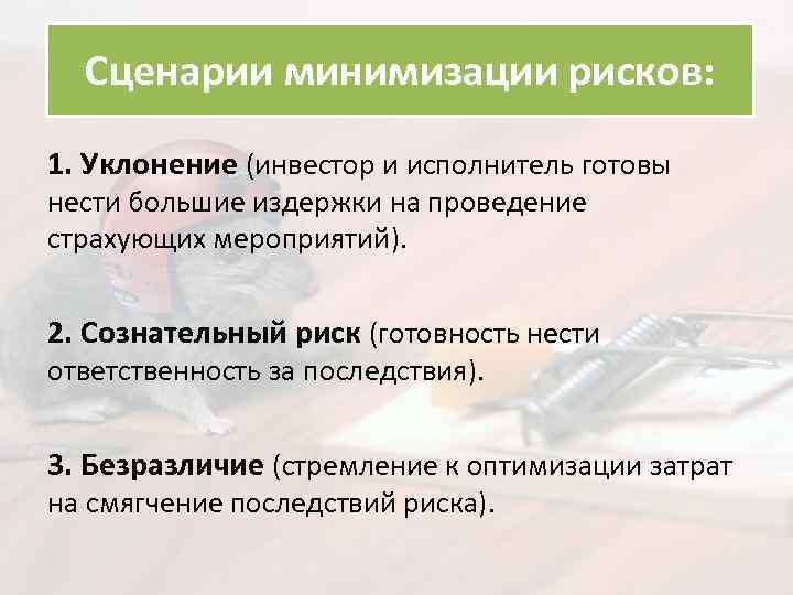 Сценарии минимизации рисков: 1. Уклонение (инвестор и исполнитель готовы нести большие издержки на проведение