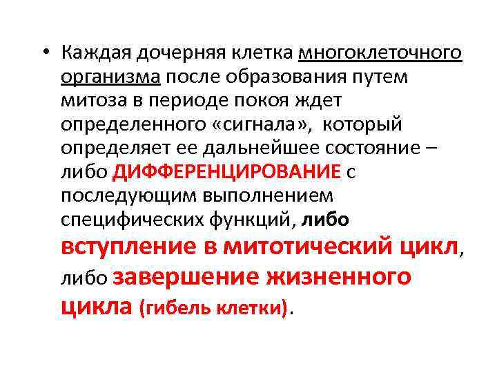  • Каждая дочерняя клетка многоклеточного организма после образования путем митоза в периоде покоя