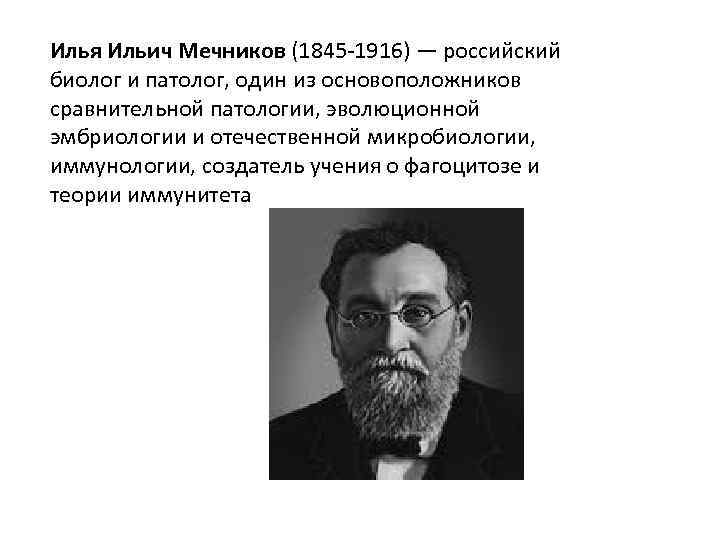 Илья Ильич Мечников (1845 -1916) — российский биолог и патолог, один из основоположников сравнительной