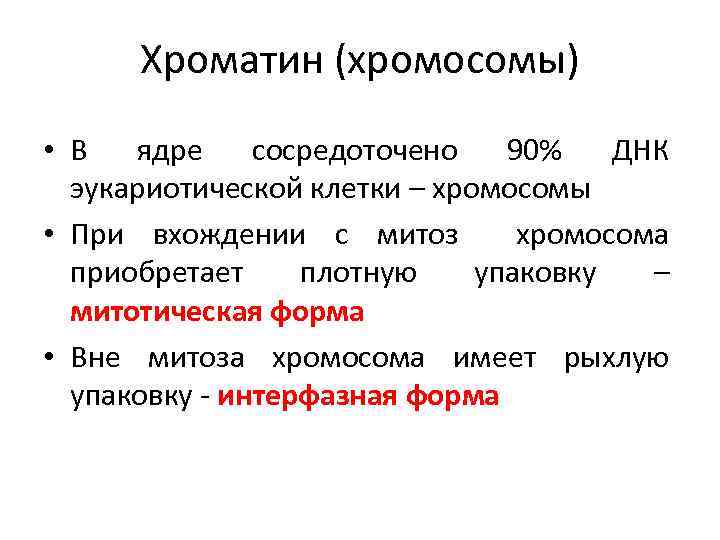 Хроматин (хромосомы) • В ядре сосредоточено 90% ДНК эукариотической клетки – хромосомы • При