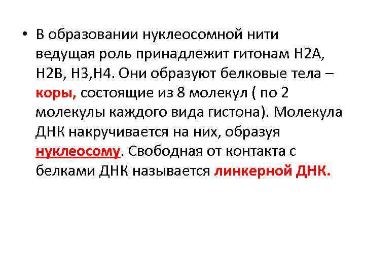  • В образовании нуклеосомной нити ведущая роль принадлежит гитонам Н 2 А, Н